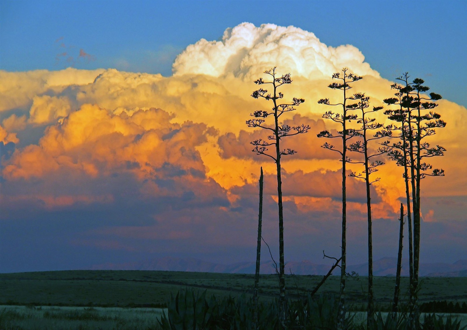 High cloud stacked over open country